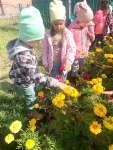 Формирование основ экологической культуры в детском саду через наблюдения за природой